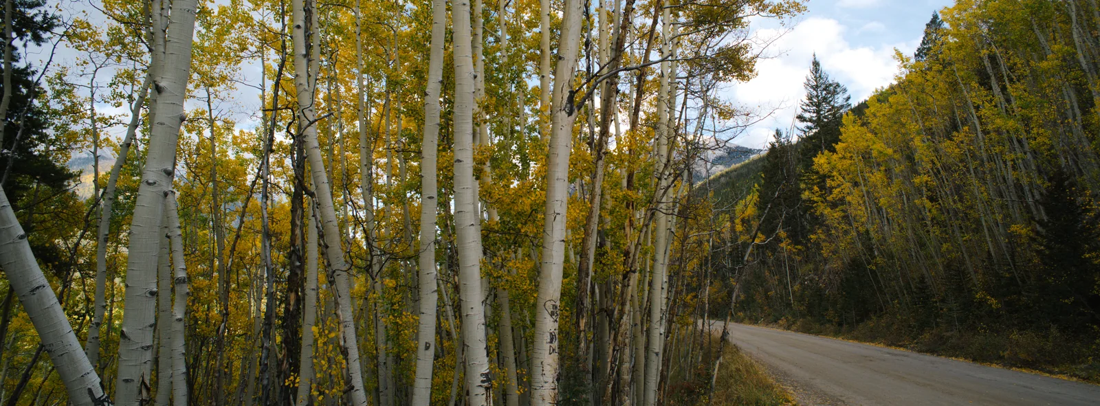 Fall Colors Near Alpine Lake · Nikon D600 · Nikkor AI-s 20mm f4