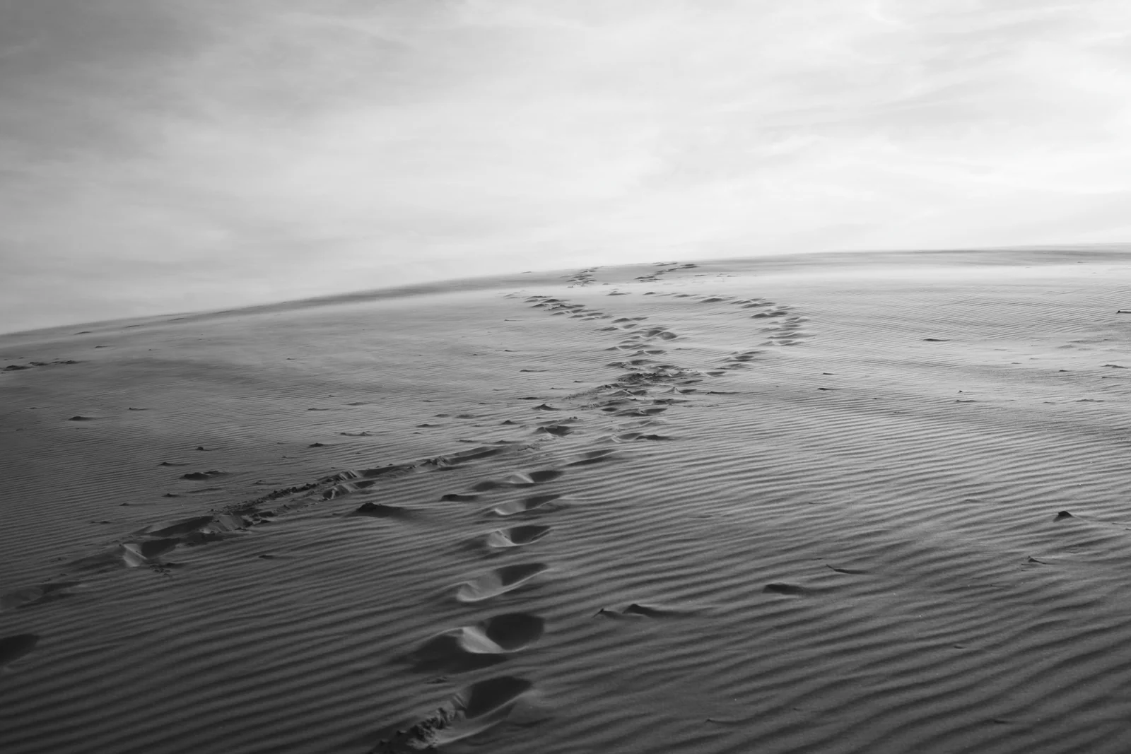 Paths in the Dunes · Nikon D600 · Nikon 50mm f1.8 Series E
